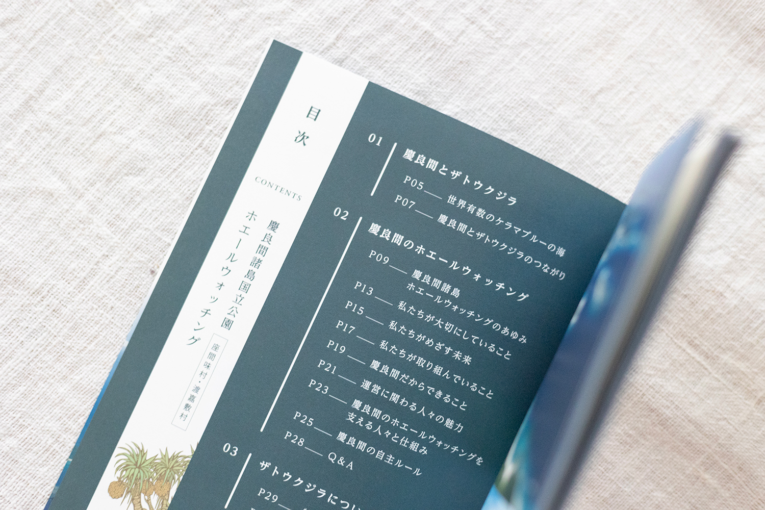 ［環境省さんの書籍制作］慶良間諸島国立公園のブランドブック制作。座間味島と渡嘉敷島での現地ヒアリングから始まり、取材／執筆／デザインを担当しました。（一部、写真も掲載いただきました）